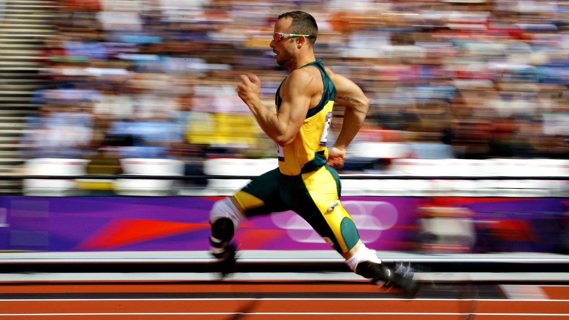 突尼斯男队自由泳冲刺力强劲,突尼斯篮球联赛赛程