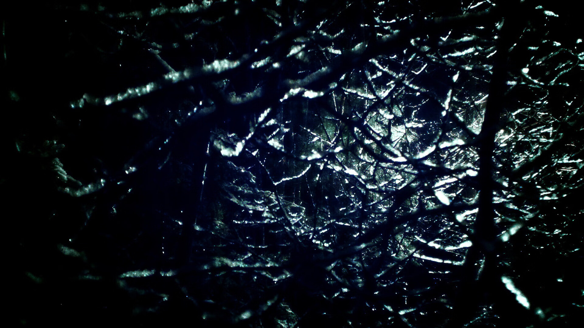 开云真人-WRC赛段安全措施：确保每一场比赛的安全保障，wrc比赛路面主要有哪些