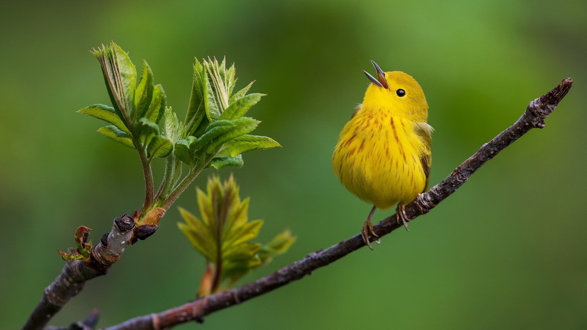 哥伦比亚队门将费尔南德斯在巴黎奥运会上展现出高水平的扑救能力